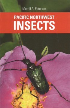 Pacific Northwest Insects