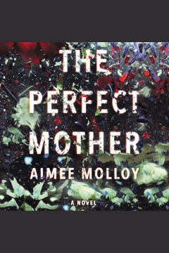 Cover image for The Perfect Mother